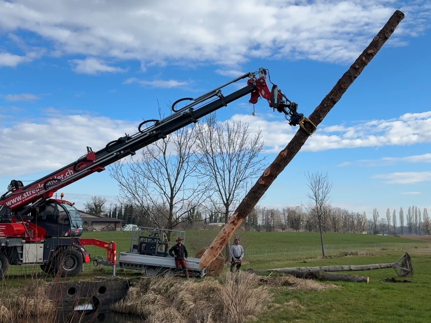 20250320 Storch 06.jpg